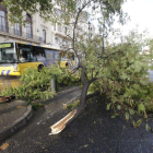 Pluges de deu litres en 20 minuts fan caure arbres i inunden carrers.