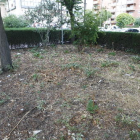 Denuncien el mal estat de parterres a Bisbe Irurita ■ Els veïns de Pius XII-Germanor reclamen a la Paeria la millora d’aquests jardins, situats entre el passatge del Riu Corb i el col·legi Joan XXIII, ja que estan molt degradats.