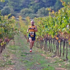 Bona part del recorregut es fa entre les vinyes del Vilosell.