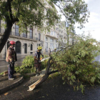 El Bombers treballen per retirar un arbre caigut a l'avinguda de Madrid