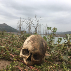 El crani que es va trobar a la zona de Campabadal.