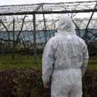 França puja a "elevat" el risc de grip aviària per les granges infectades