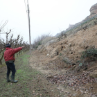 Un agricultor d'Aitona arrancarà una finca de sis-cents arbres per les destrosses