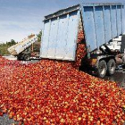 Protesta d’agricultors a Perpinyà per la competència de la fruita espanyola