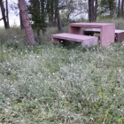 La zona de picnic del área de Cellers inutilizada por las hierbas.