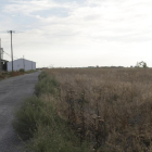 Imagen de archivo de terrenos del Incasòl en Almacelles.