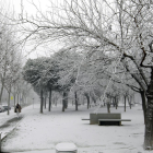 El inicio del invierno ha sido especialmente frío en Lleida, que el día 8 de enero se despertó con este paisaje tras la niebla heladora.