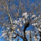 Una passejada per la natura pot canviar, sens dubte, el nostre estat anímic. Mirar, olorar, tocar ...