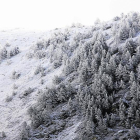 Imagen de archivo de un bosque nevado en el Pirineo.
