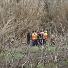 Bomberos, Mossos y técnicos del SEM rescataron el cuerpo del canal entre Lleida y Alcarràs.