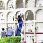 Roses, clavells i gladiols van ser les flors més venudes segons els floristes.