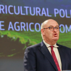 El comissari d'Agricultura de la CE, Phil Hogan.