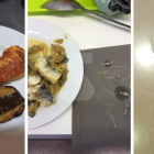 El sindicato cuenta con fotos como estas de pez lleno de espinas, una tortilla más que dura y un plástico encontrado en un plato. GSS afirma que es de “hace tiempo”.