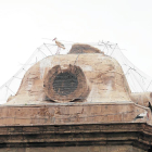 Varias cigüeñas aposentadas en las cúpulas de la Catedral. 