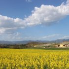 Dia i paisatge primaveral.