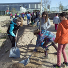 Els estudiants de Cervera van plantar ahir arbres al nou parc natural de la ciutat.