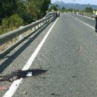 Un conductor drogado atropella mortalmente a dos cilcistas en Montbrió del Camp