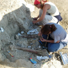 Imatge d’arxiu de fòssils d’hadrosaures recuperats durant una excavació al jaciment Basturs Poble, al Pallars Jussà.