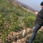 Heladas en los campos frutícolas de Lleida este 2 de abril de 2022