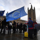 Concentración de europeístas en Westminster.