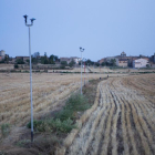 Una finca regada a la zona de Concabella, a la Segarra. En total, l’aigua arriba a 35 municipis de cinc comarques del pla de Lleida.