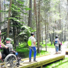 La pasarela del Parc Natural de l’Alt Pirineu.