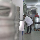 La fàbrica de cervesa Lo Vilot d’Almacelles produeix el seu llúpol.