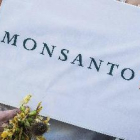 Monsanto ha de pagar 289 milions de dòlars per efecte cancerigen de glifosat