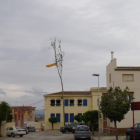 Imatge de la plantada del xop de l’any passat a Vallfogona de Balaguer.