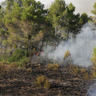 Tareas de extinción ayer en el incendio de L’Espluga Calba. 