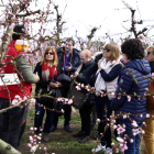Més de 1.200 persones visiten els camps florits del Segrià