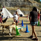 Niños realizando una de las actividades progamadas con sus perros.