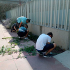 Cuatro voluntarios del proyecto Jova en Castelló de Farfanya.