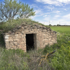 Els murs dels marges de pedra seca de Mas Ramon, Guissona, entre els més ben conservats a la Segarra.