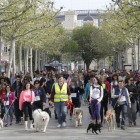 Una desfilada de mascotes a Lleida