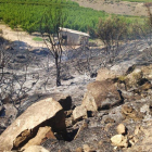El foc s'ha originat entre un camí i un camp de cultius a la zona de la Velleta de Joaquima