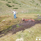 Rescaten una euga al Pallars Jussà