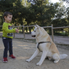 Un niño jugaba ayer con su perro en el Parc de Santa Cecília de Lleida. 