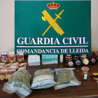 Vista de la marihuana intervenida por la Guardia Civil. 