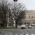 Los dos árboles de la derecha serán trasplantados para poder alinear la calzada de Príncep de Viana y establecer dos carriles por sentido.