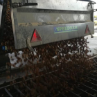 Imagen de un camión descargando la recolección de almendra en una explotación.