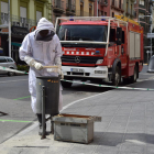El bombero que se encargó de retirar las abejas en La Seu.