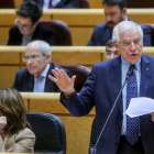 El ministro de Exteriores, Josep Borrell, ayer durante su intervención en el Senado.