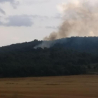 Los Bomberos extinguen un fuego de vegetación en Artesa de Segre
