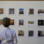 Exposició del concurs d’Instagram Les Garrigues en Flor, a l’IEI