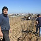 Josep M. Brufau, en plena tasca de plantació de les pomeres ecològiques.