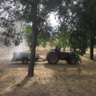 Se harán tres fumigaciones por semana. 