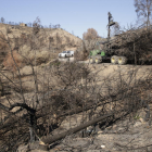 Treballs de neteja en un dels boscos afectats pel gran incendi ahir a Maials.