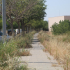 La calle de Cal Bernet, tomada por las malas hierbas, ayer. 