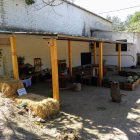 Las instalaciones de la Escola Bosc La Escoleta del Mas en el complejo de La Manreana de Juneda.